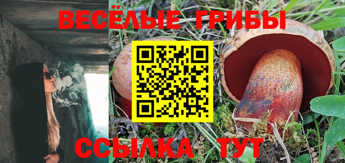 Галлюциногенные грибы GOLDEN TEACHER  Вход с VPN  Обь  Галлюциногенные грибы Psilocybine cubensis 