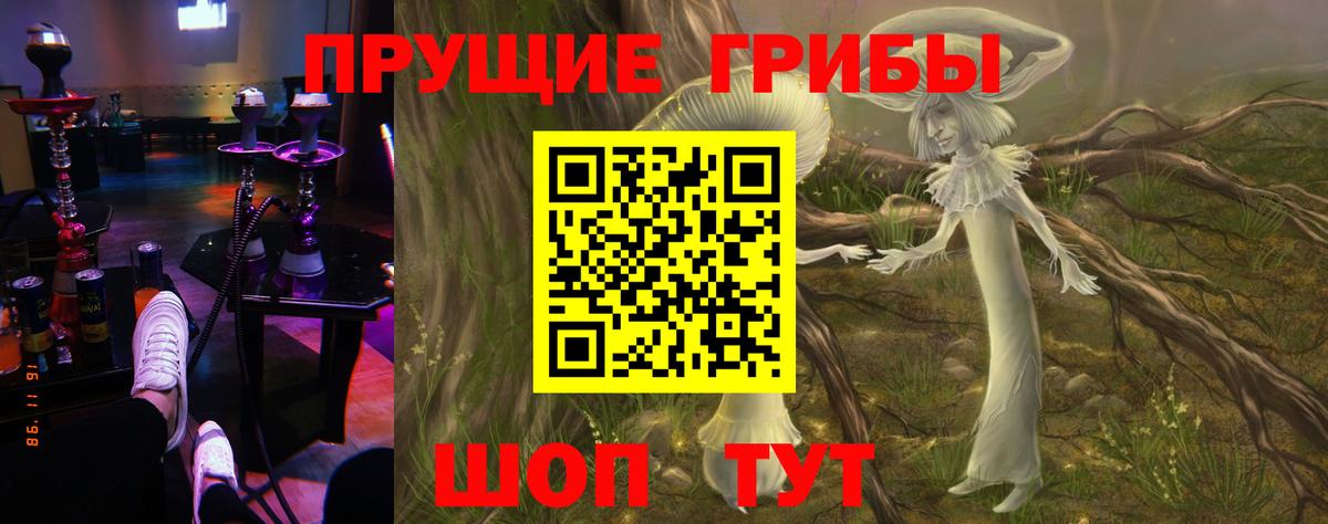 Псилоцибиновые грибы мицелий Обь